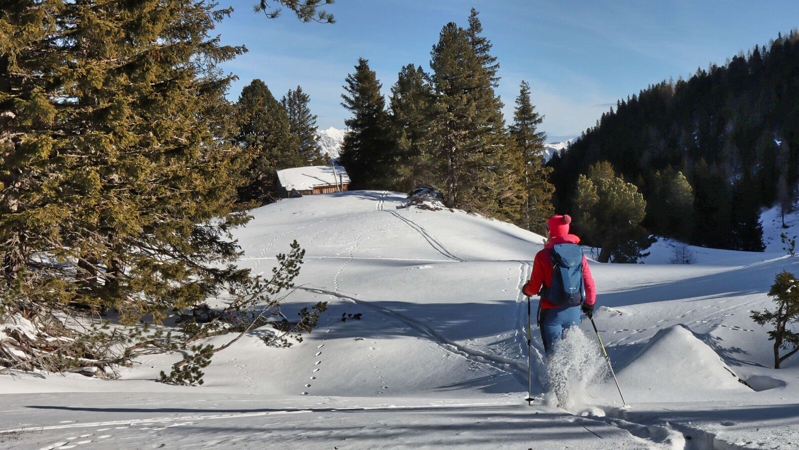 Wintergenuss Scheibelalm